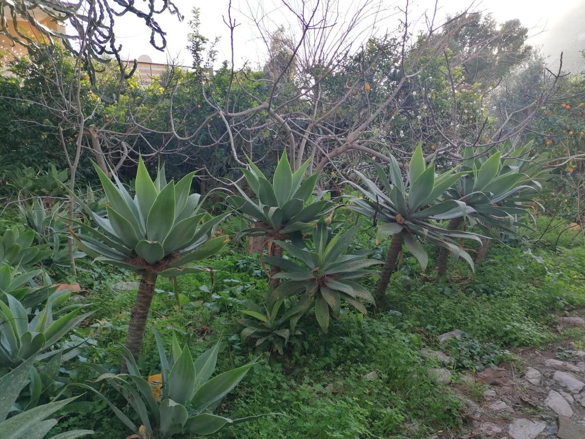 Villa Africa Capaci Buitenkant foto